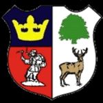 Cinderford Town