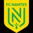Nantes (F)