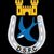 Dungannon Swifts