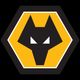 Wolverhampton (F)anderers