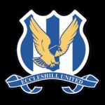 Logo Eccleshill United