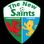 Logo The New Saints
