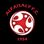 Logo Al Faisaly