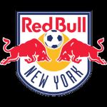 Logo New York RB