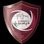 Logo Al Draih