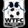 Wimborne Town