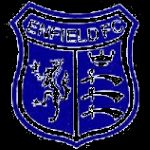 Enfield 1893