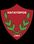 Logo Hatayspor